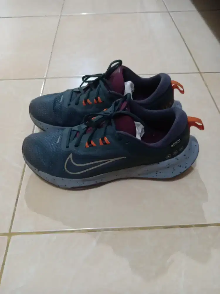 Nike Goretex 43
