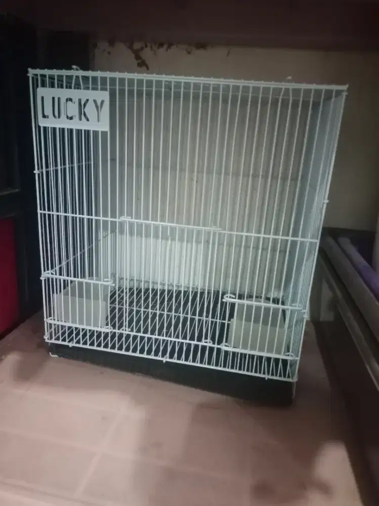 Bundle jual perlengkapan Sugar Glider