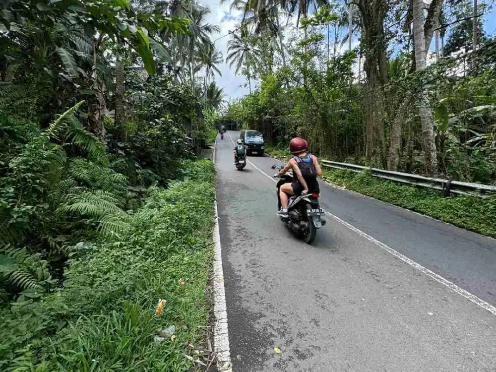 Tanah Komersil Murah di Jalan Utama Ubud Dekat Capella Resort