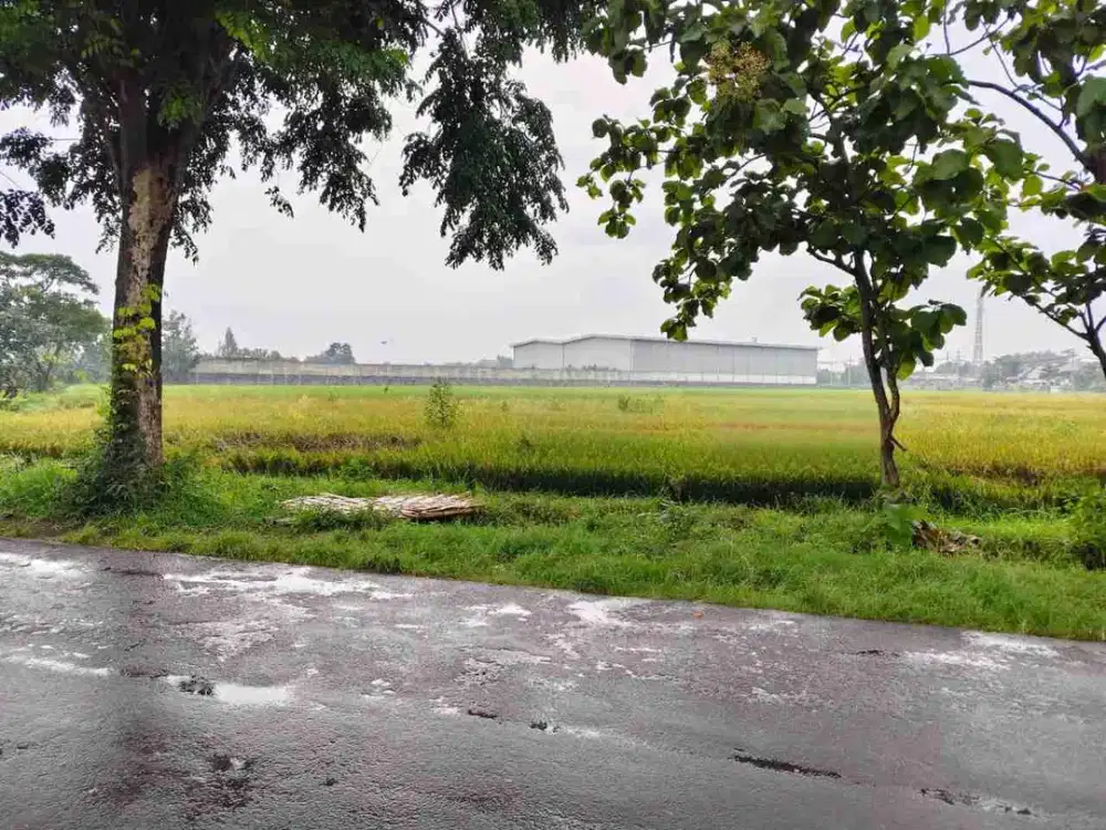 Tanah Luas 8.480m² Akses Kontainer Kawasan Gudang dan Industri di Tasikmadu