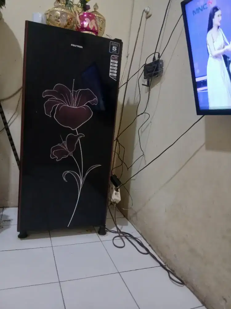 Jual Kulkas 1 Pintu Merek Playtron