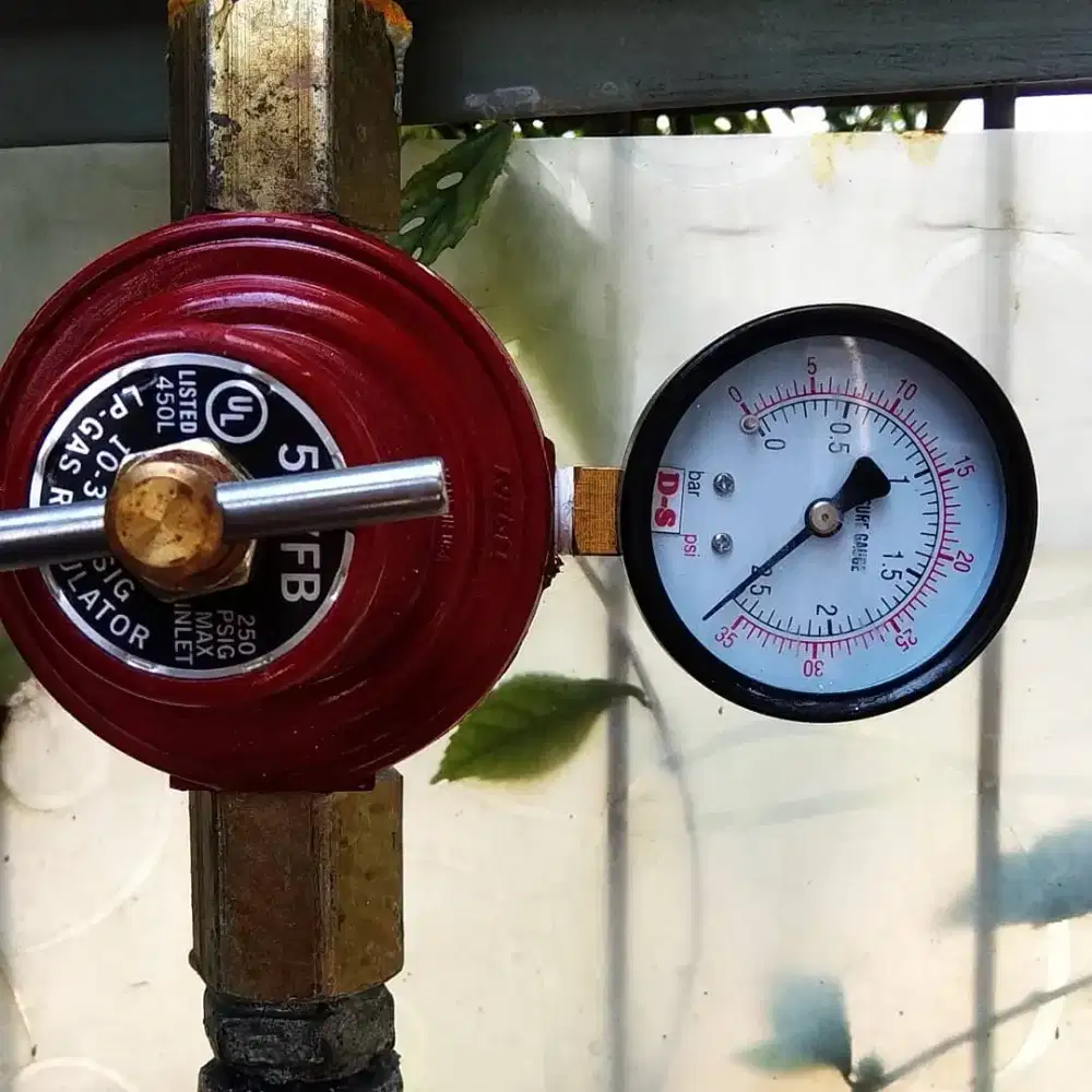 Kitchen stainless custom