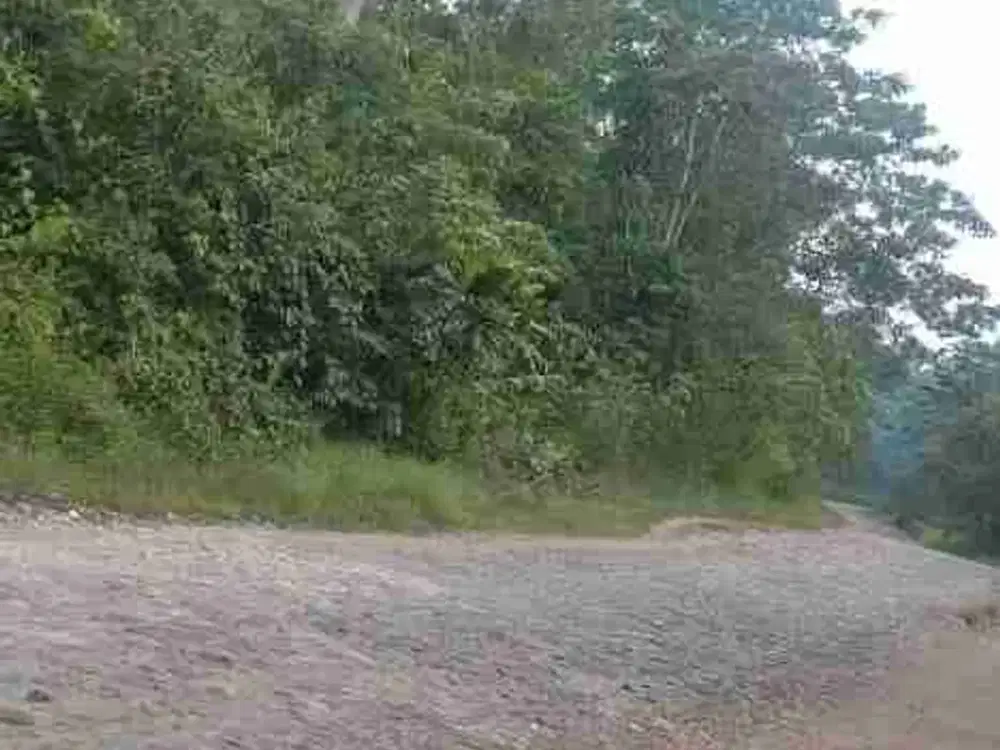 Tanah Murah cocok utk Invest 2,3 ha SHM pinggir jalan besar di Purbalamo-Lembah Sorik Marapi-Mandailing Natal 02