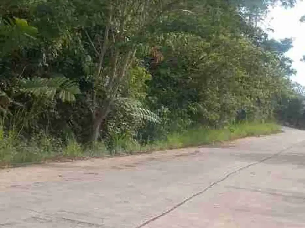 Tanah pinggir jalan besar jual murah pas utk invest 2,3 ha SHM di Purbalamo-Lembah Sorik-Marapi-Mandailing Natal 03.