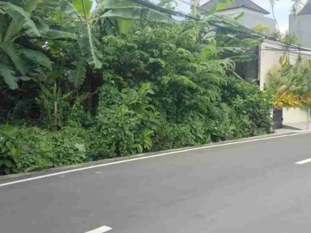 Tanah Komersial Jalan Utama Tumbak Bayuh Canggu