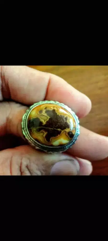 Batu Akik MOTIF GAMBAR IKAN KOKI Alami