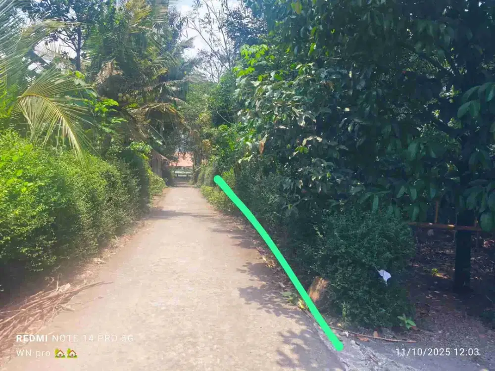 JUAL TANAH DI PUNDAK KEMBANG NANGGULAN KULONPROGO