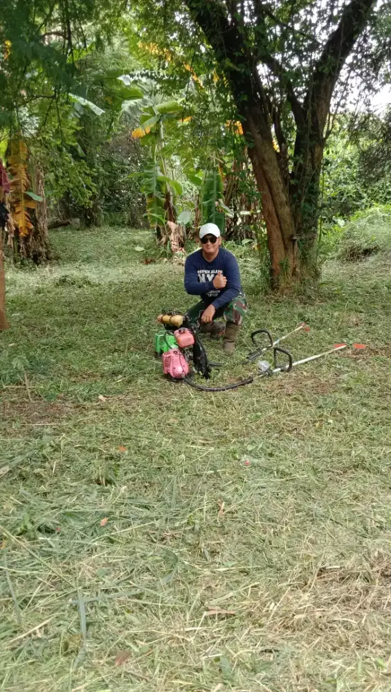 Jasa potong rumput