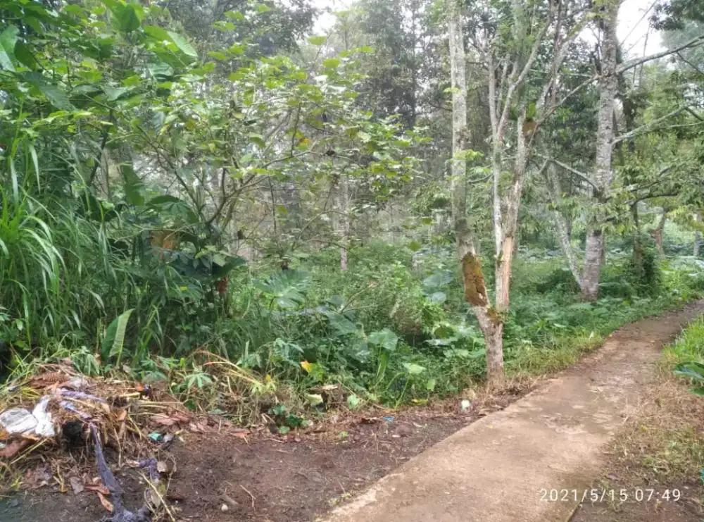 Disewakan Tanah kosong untuk berkebun