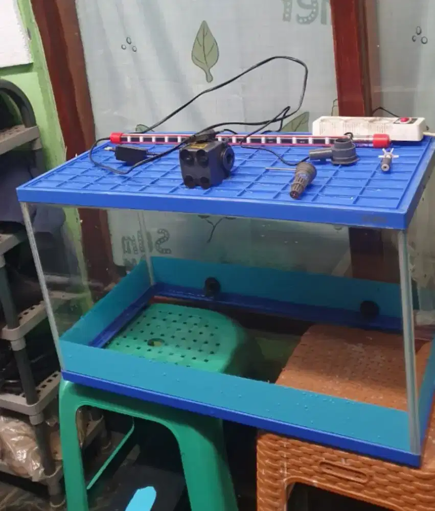 aquarium ikan kaca