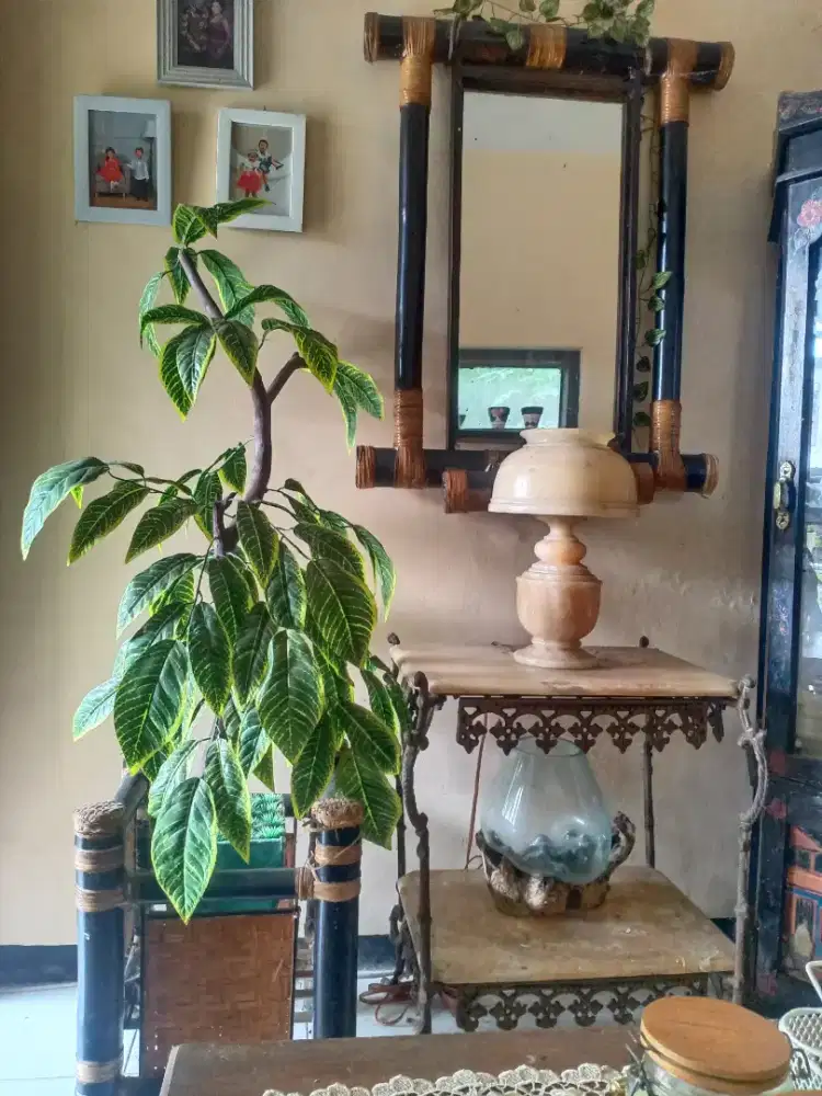 Kaca dan tanaman full set