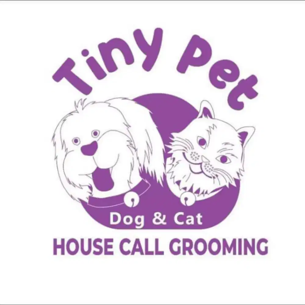 Di cari groomer/memandikan kucing dan dogi panggilan