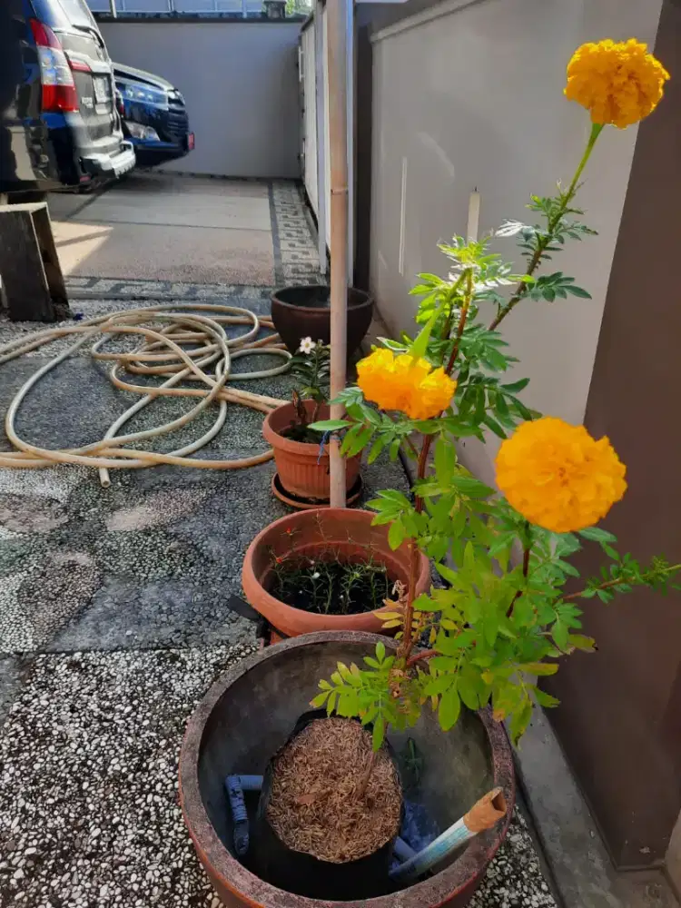 Disewakan/Dijual rummah Hook bonus  CCTV 6 titik