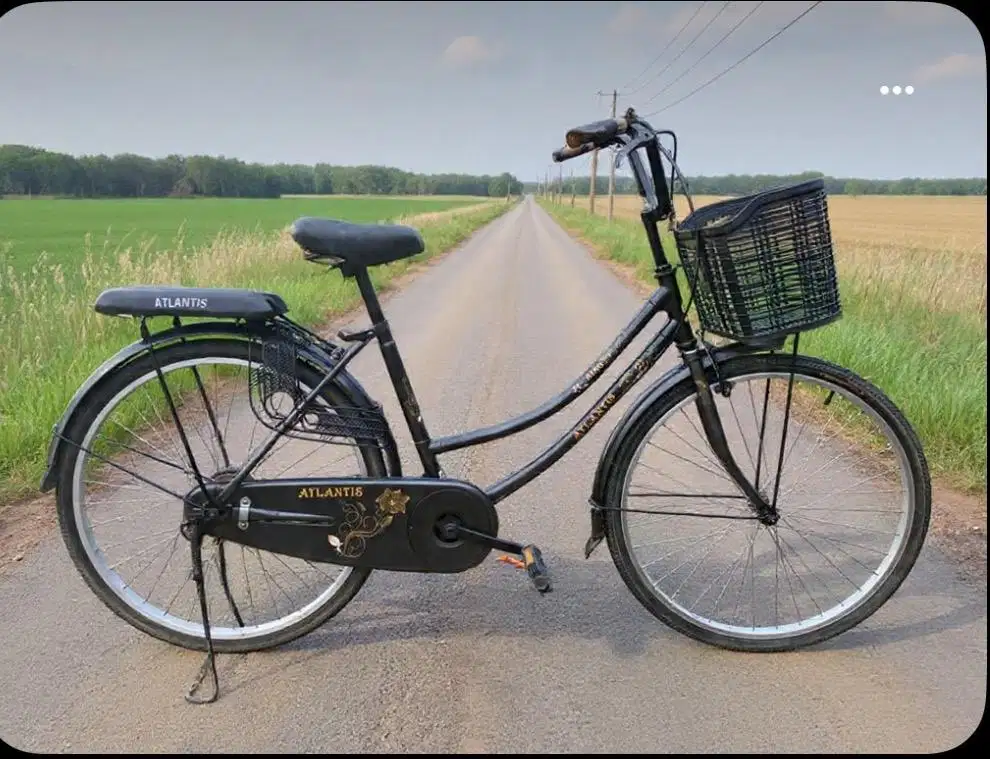 Sepeda mini 26 inch buat dewasa