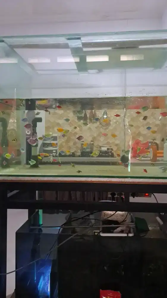 JUAL AQUARIUM + FILTER