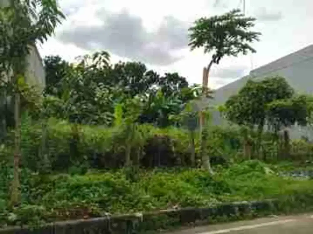 jual tanah 175m² 10x17.5 billymoon di pondok kelapa