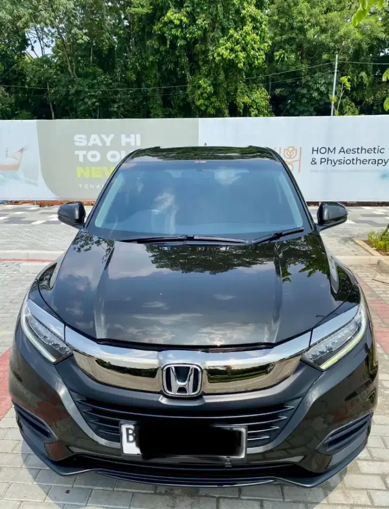 Hrv E SE 2018 murmer