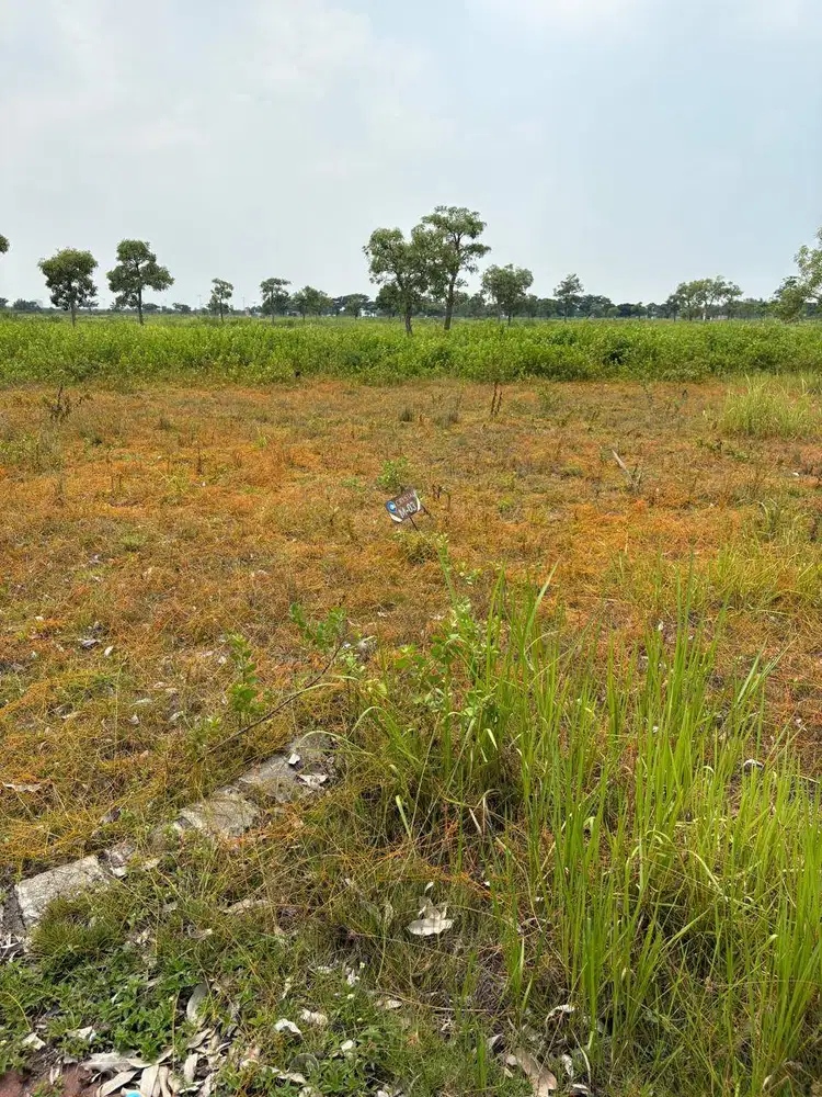 Dijual Cepat! Tanah Kavling perumahan GEM City Gresik. Luas 123m2