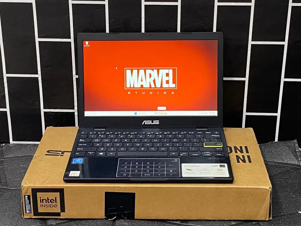 Notebook Asus Vivobook E210MA