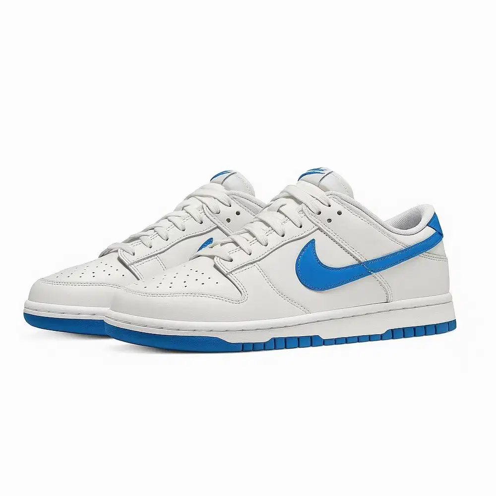 Nike Dunk Low Retro