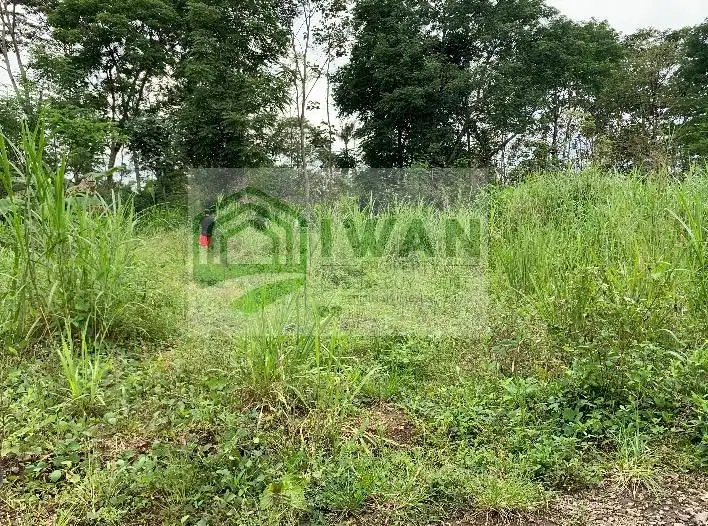 Tanah Kering Dengan Muka Sekitar 100m Iklim Sejuk Dekat Jalan DPU