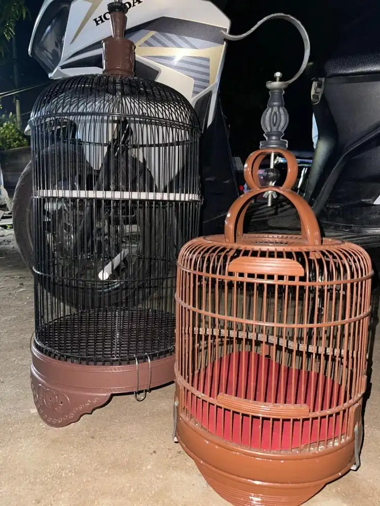 Jual Burung Fullset Kandang