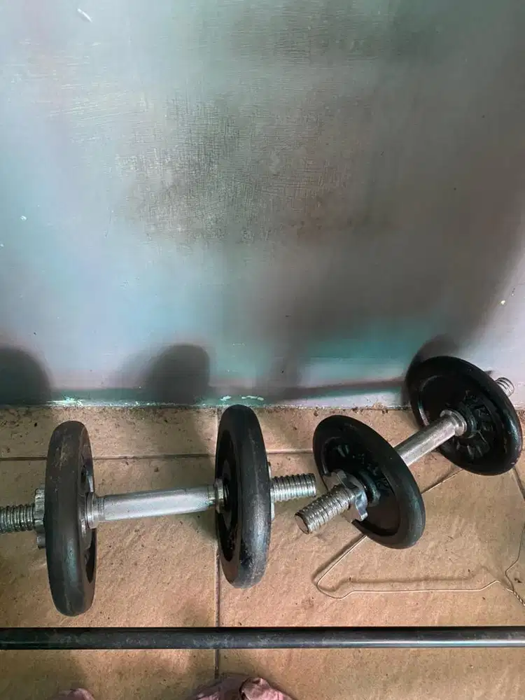 Dumble barbell cast iron stik kettler