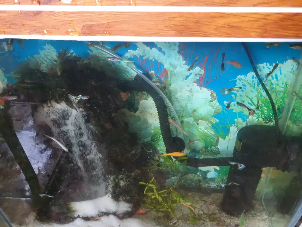 Aquarium pasir,pasirnya jatuhnya seperti air terjun bagus,elegan.