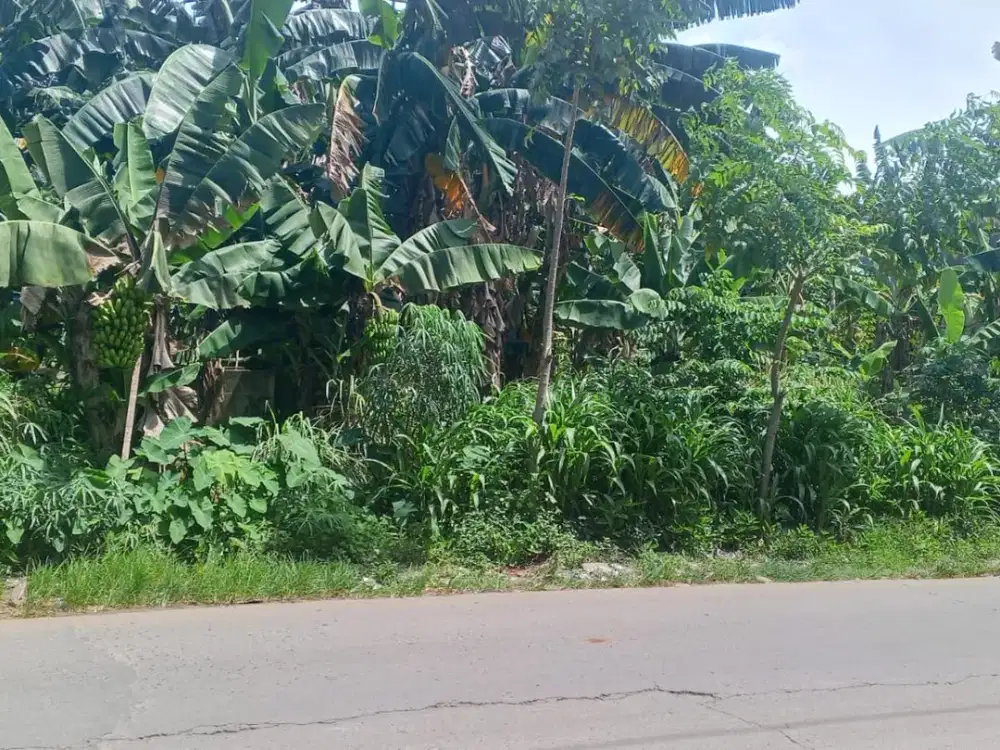 12 menit Stasiun KRL Tambun Tanah Kavling Murah SHM