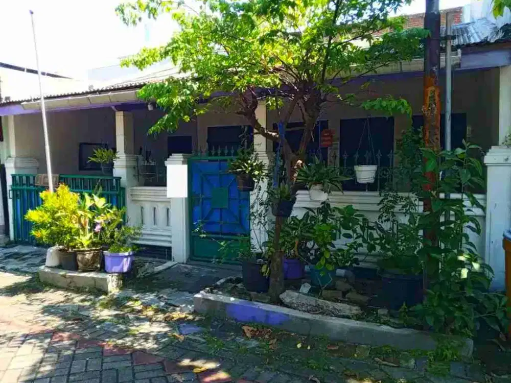 12. DIJUAL PANDUGO PRAJA PENJARINGAN SARI RUNGKUT SURABAYA