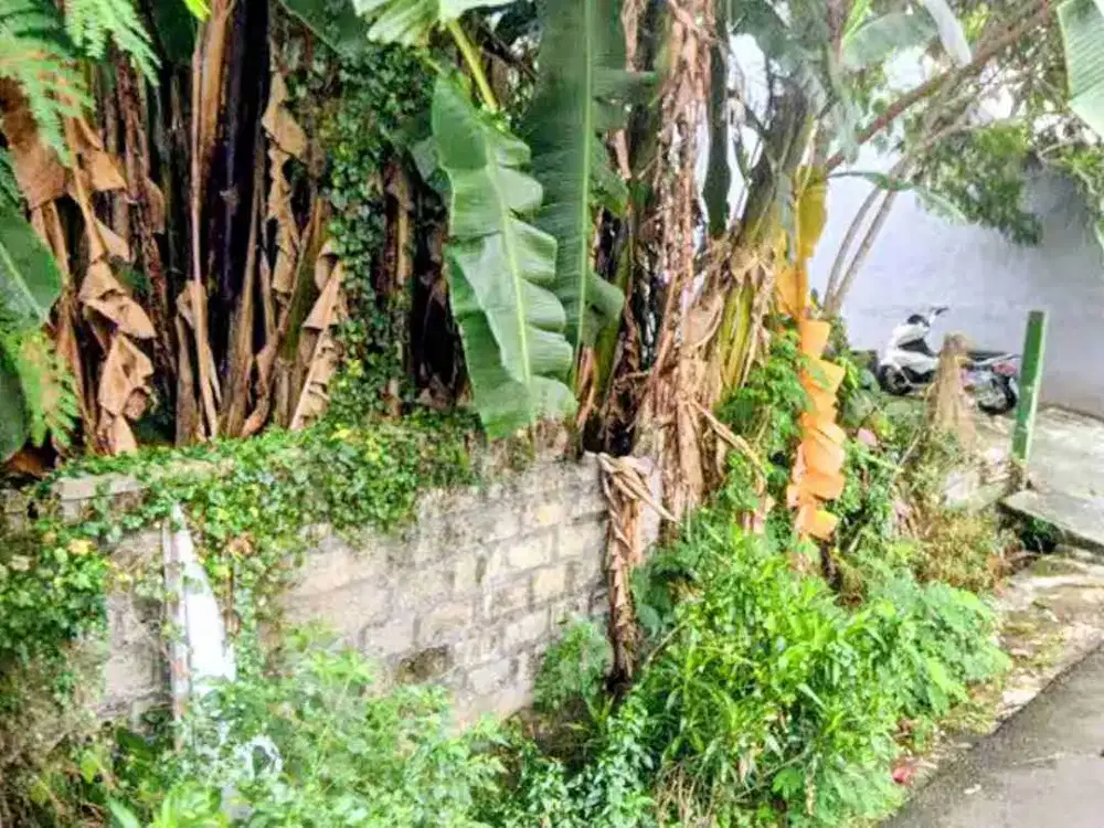 `Beli Tanah 300m² di Kedoya Baru: Lingkungan Tenang, Hidup Jadi Senang!`