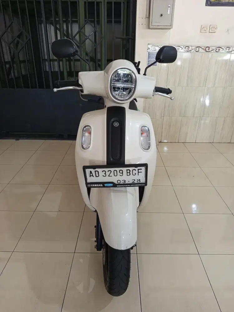 Fazio putih murah bagus