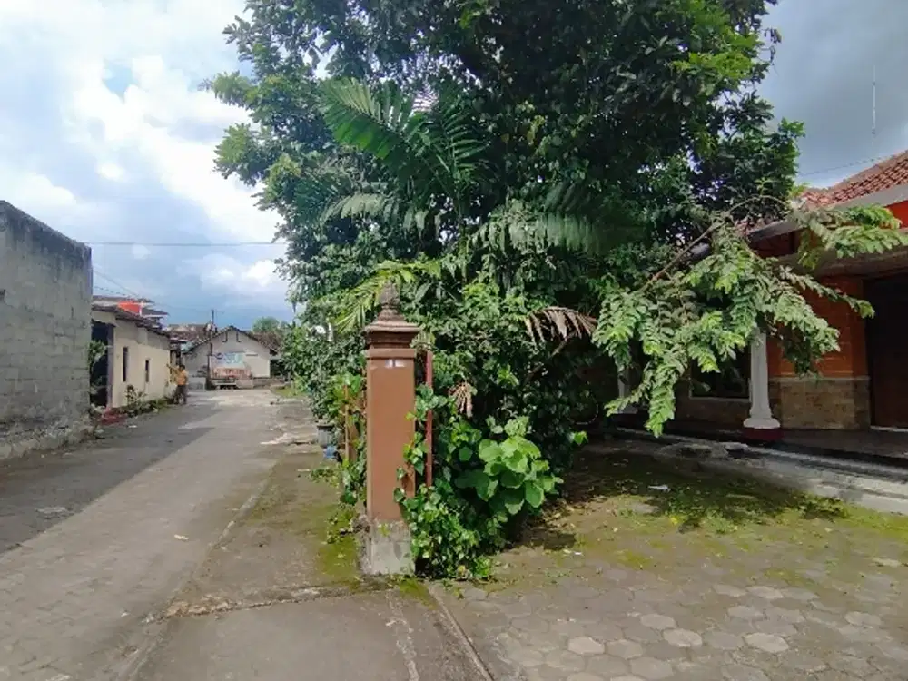 TERMURAH TANAH DI JUAL BONUS RUMAH TUA DI JAKAL KM.8 UTARA UGM JOGJA