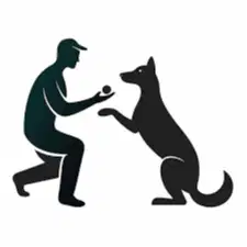 PELATIH ANJING / DOG TRAINER & TUKANG PIJAT (PRIA)