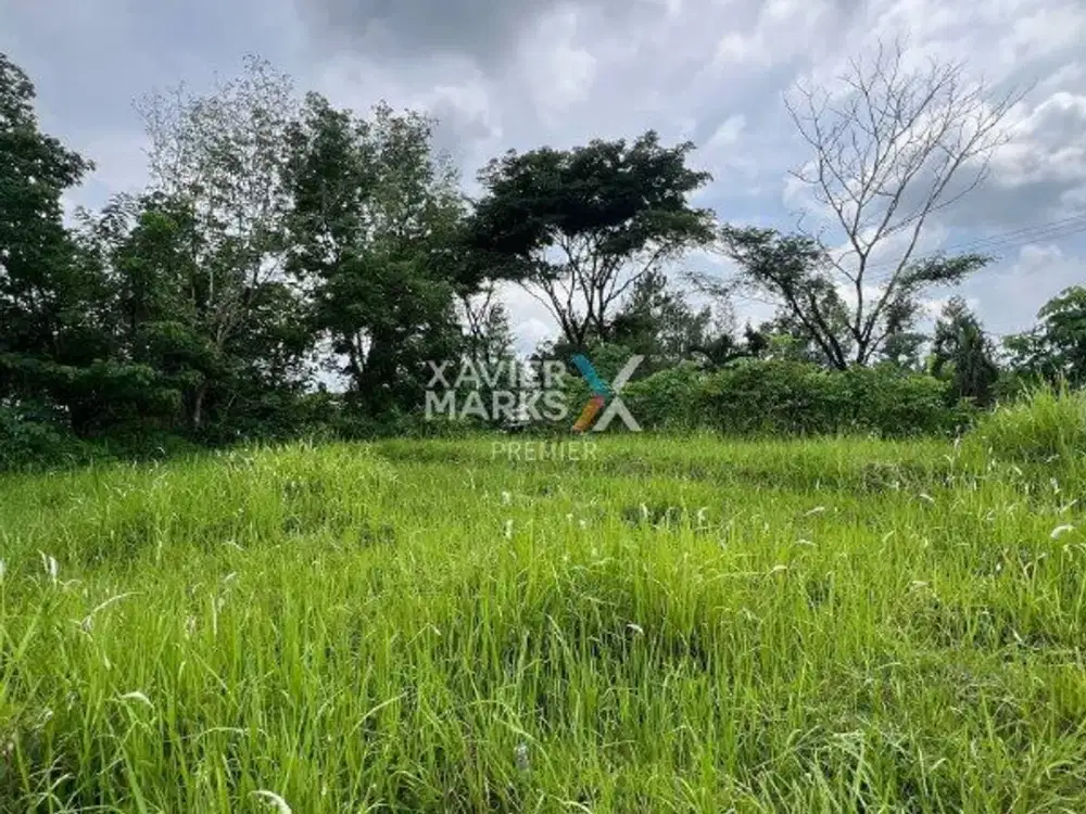 Dijual Cepat, Tanah Lokasi di Jedong, Wagir Kabupaten Malang