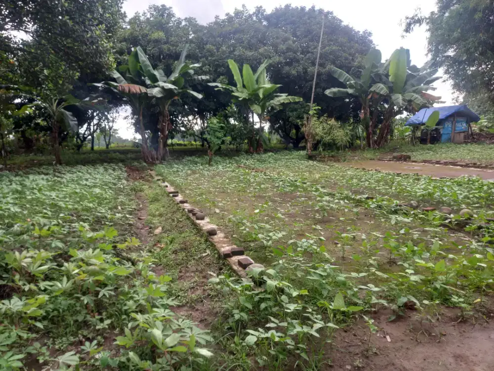 DIJUAL TANAH 18ARE/BUTUH UANG/JUAL CEPAT/BANGUN RUMAH/VILLA/AGROBISNIS