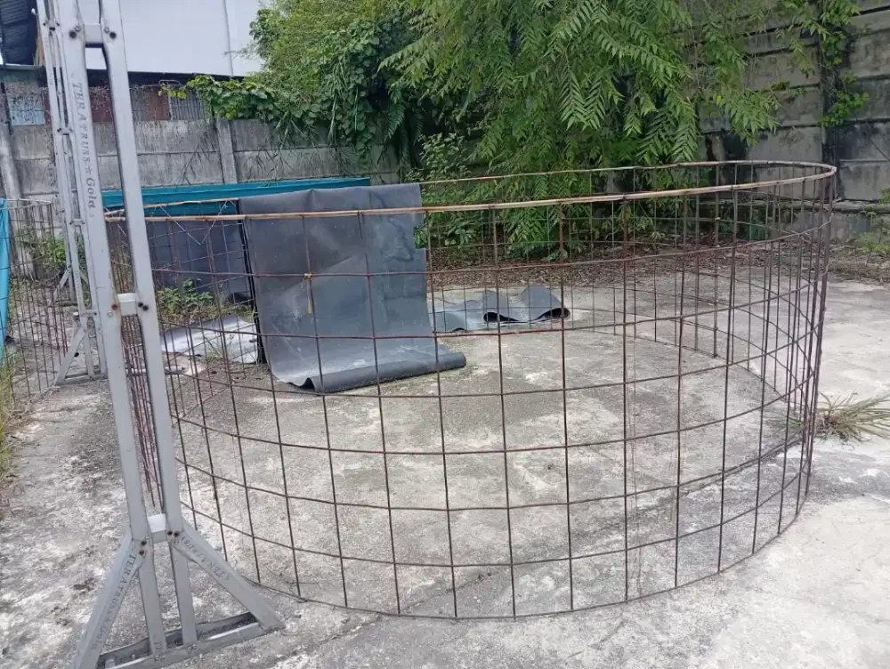 Kolam ikan bekas pelihara lele