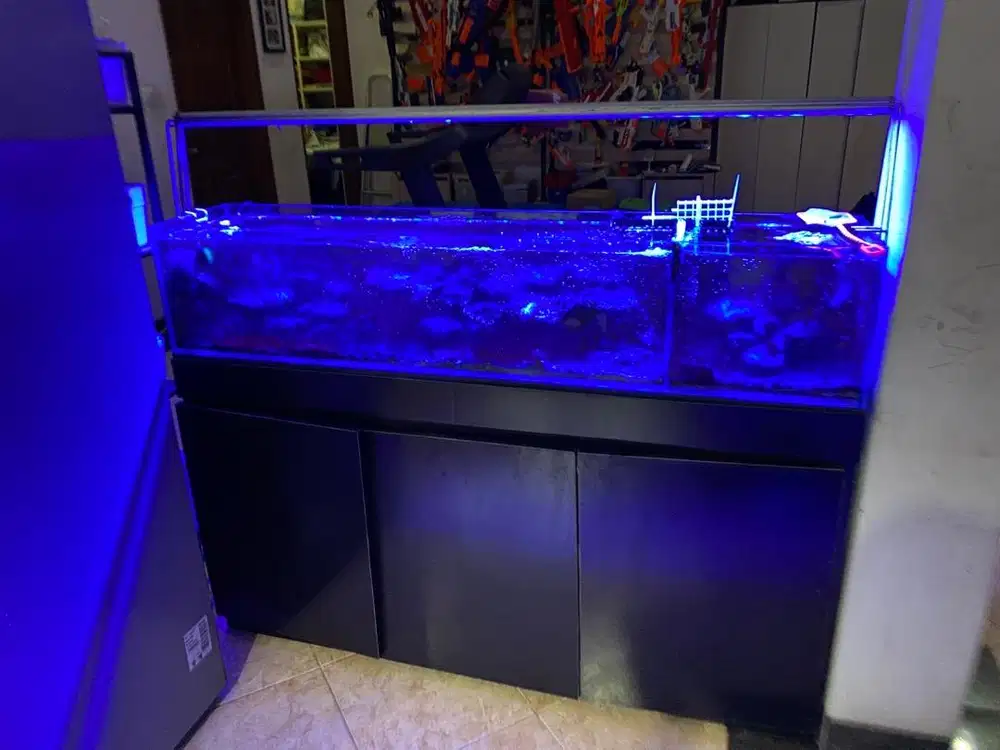 Aquarium 1 set dengan mejanya
