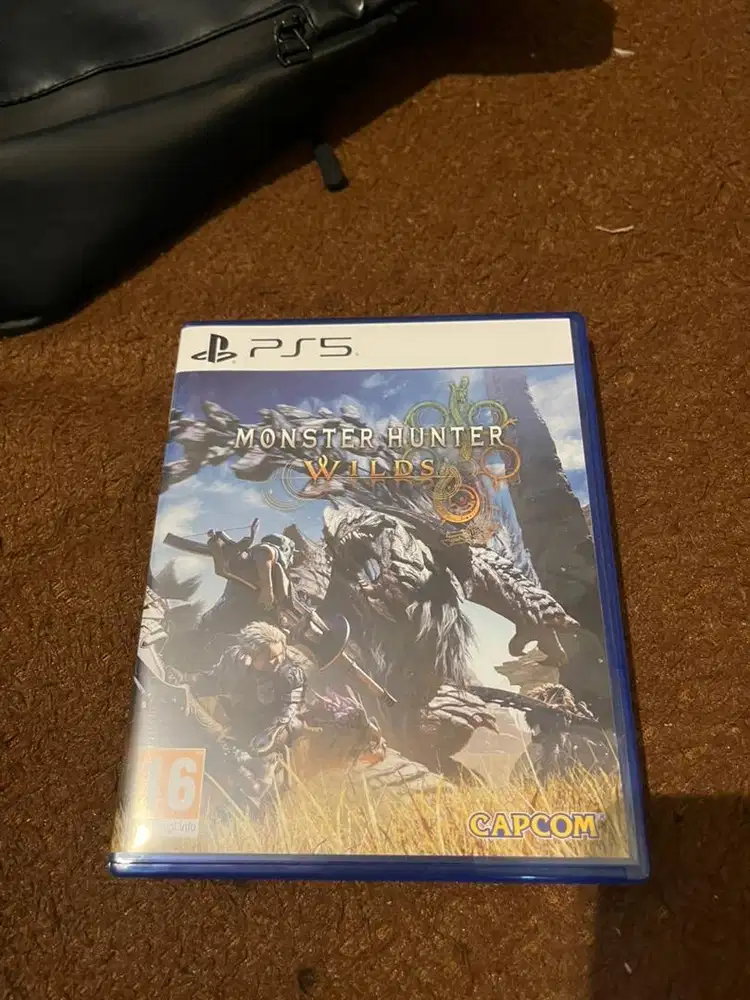 Monster hunter wilds