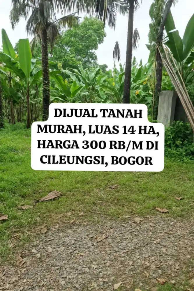 Dijual Tanah Murah 300 RB/m di Cileungsi Bogor