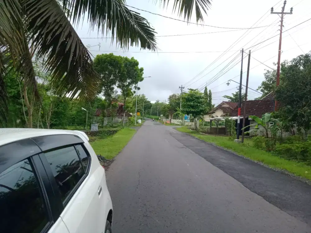 Tanah prospek. Di kawasan industri Sentolo kuionprogo