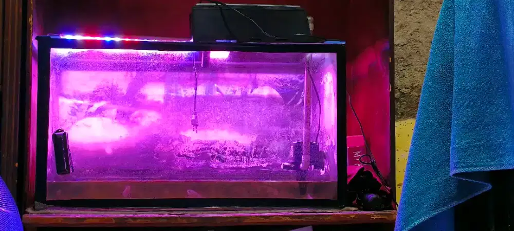 JUAL AQUARIUM 75X40X40