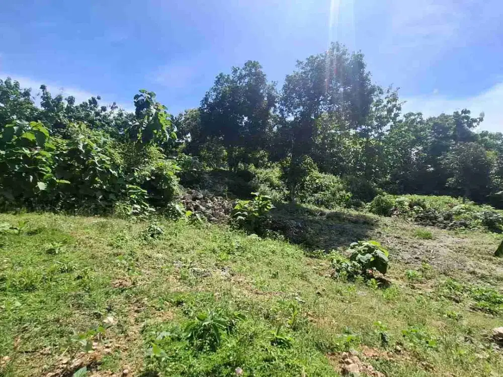 TANAH SEWA 5000m² UNBLOCK OCEAN VIEW BALANGAN JIMBARAN