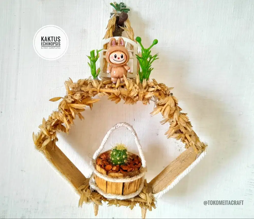 Kaktus Echinopsis dengan Rak Dinding Mini
