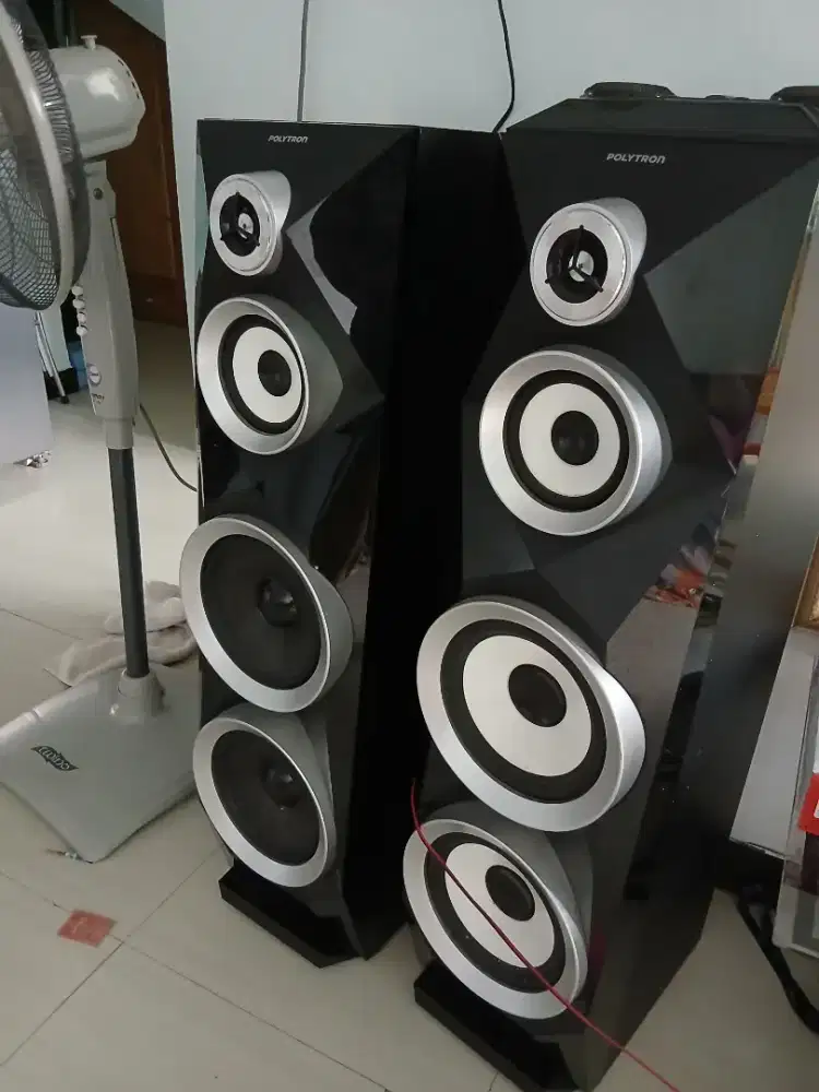 Speaker Polytron 8B22