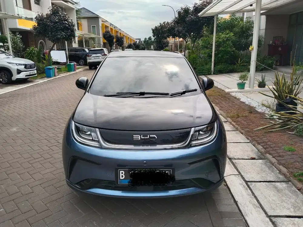 BYD Dolphin 2025(nik 2024), premium.