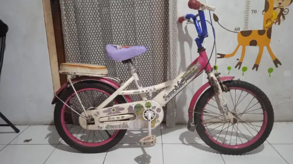 Sepeda anak wanita 16 masih bagus lengkap didepok 1