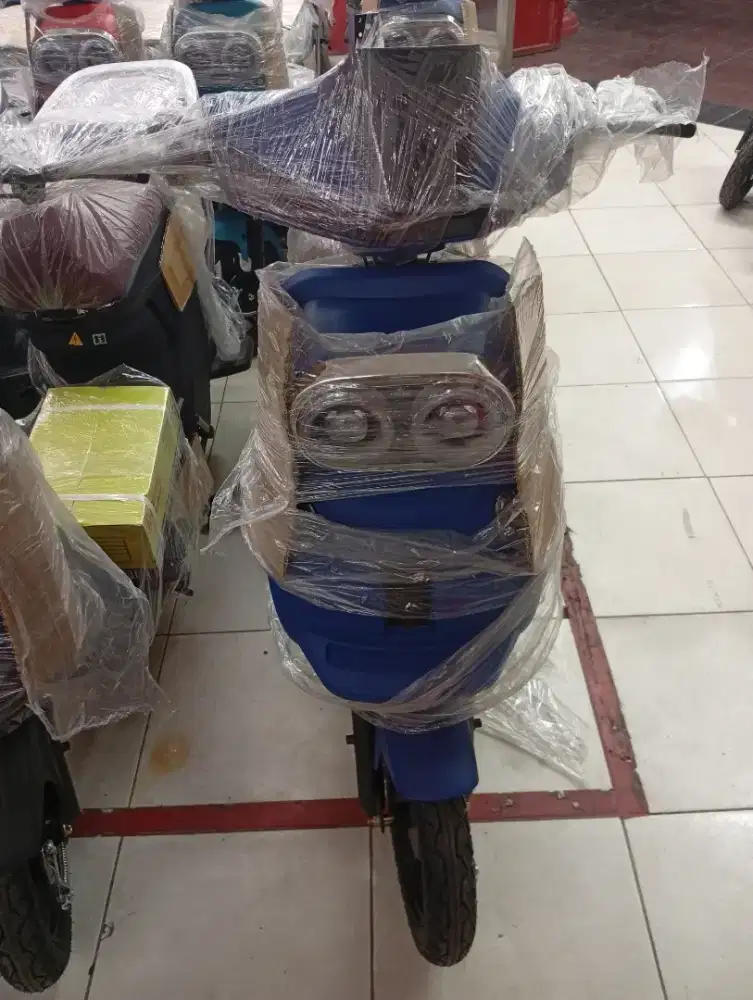 Sepeda listrik Exotic - x650