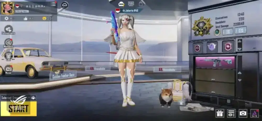 JUAL AKUN PUBG MOBILE