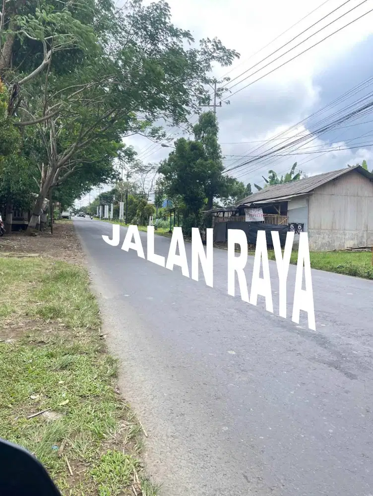 Tanah Kavling Jalan Raya Gondanglegi - Siapa Cepat Dia Dapat